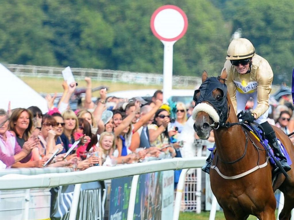 Pony Racing Betting Tips – Know It All Here!